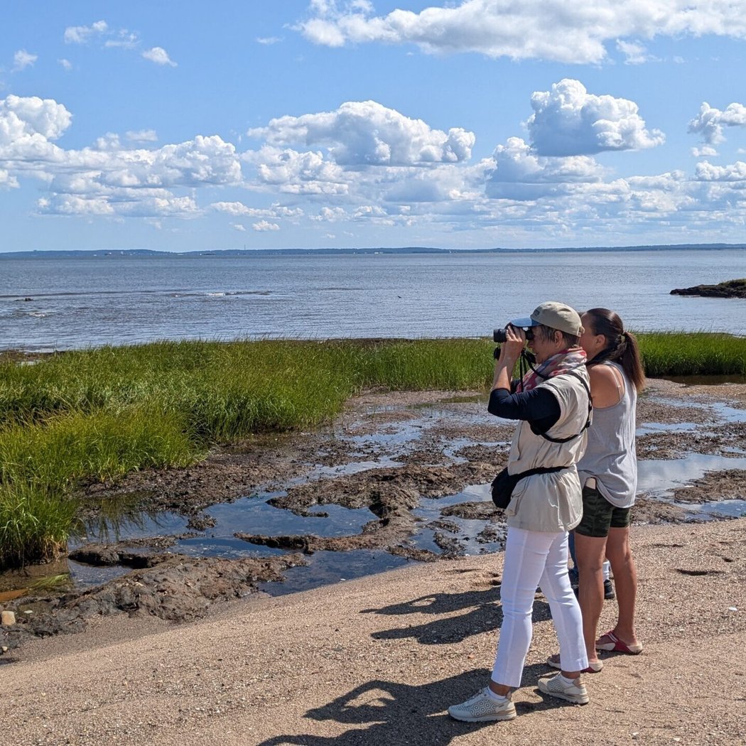Bird and Nature Walk: Great Kills 1
